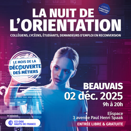Cliquez pour agrandir l'image